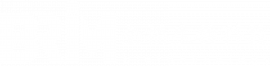 Brim Biotechnology logo